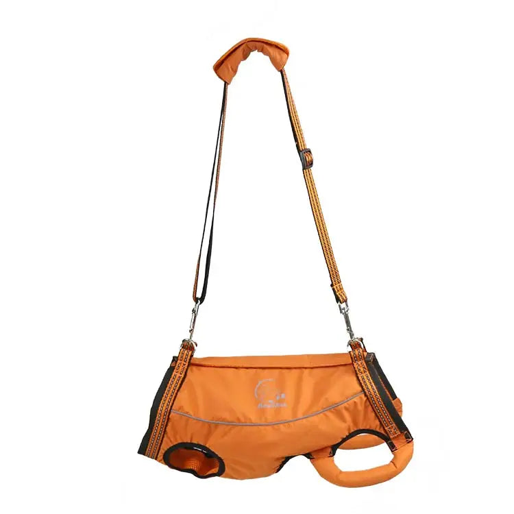 Animal Accessories - Pet Supplies 