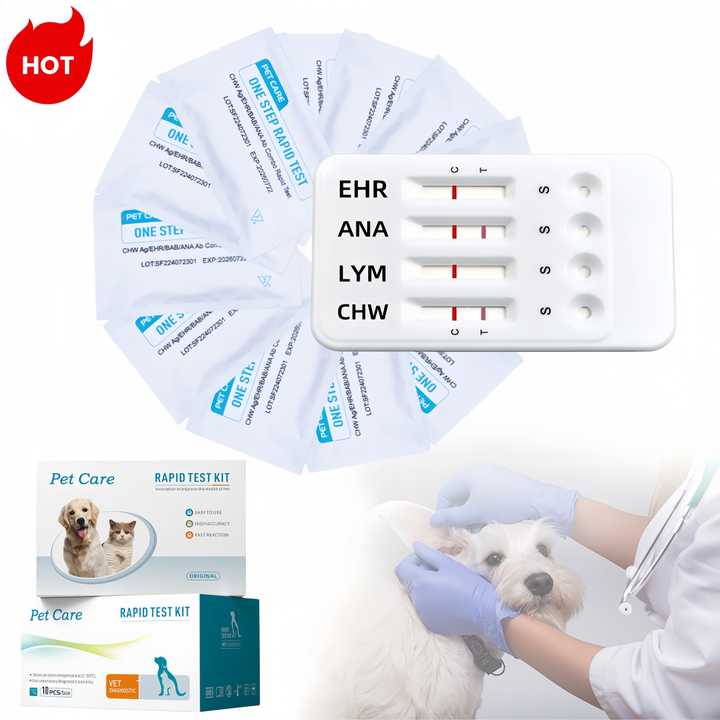 اختبار Tick-4/4 طرق Ehr/Bab/Ana/Chw دودة أنبلازما نابية دودة هريليتشيا بابيسيا جيبسوني كومبو Tick-4/4-way test Ehr/Bab/Ana/Chw Anaplasma canis, Herrelictia worm Babesia gibsoni Combo