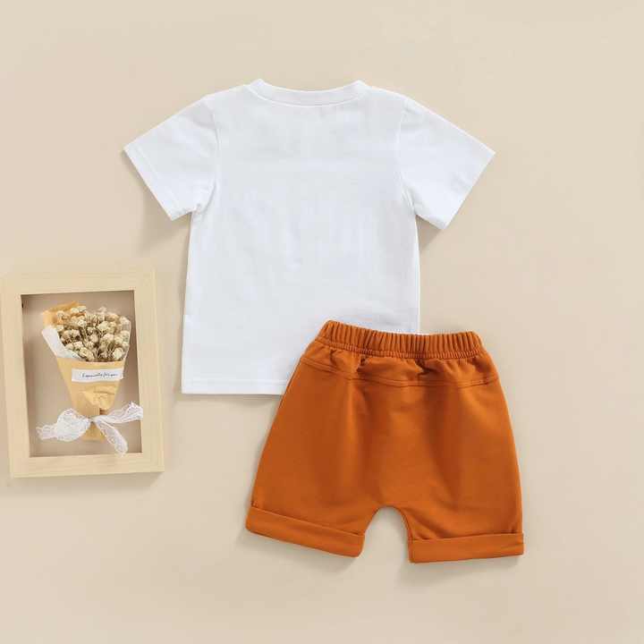 Baby Boys Summer Clothing Sets 