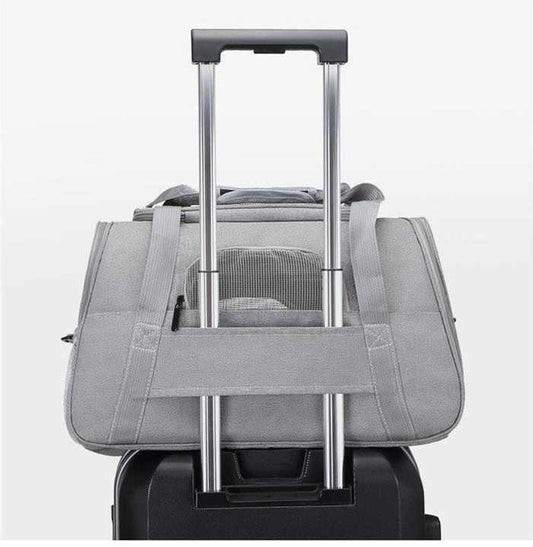 مستلزمات الحيوانات، اكسسوارات حيوانات