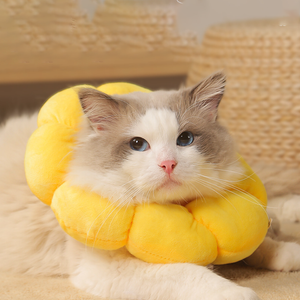 اكسسوارات حيوانات