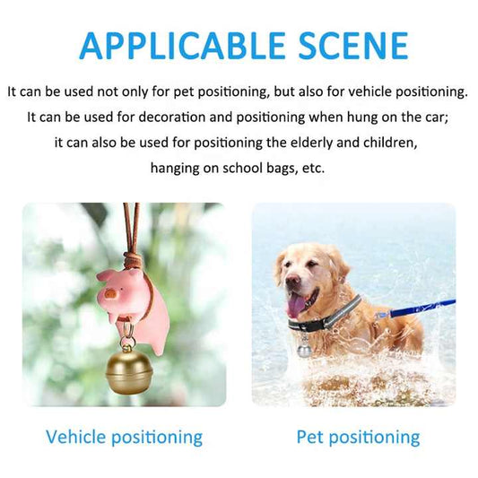 جرس تعقب اكسسوارات حيوانات