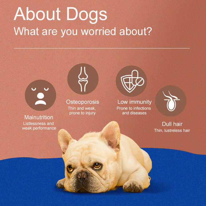 Family pet food factory, dog food packaging, orito all in one, dog food for sale 