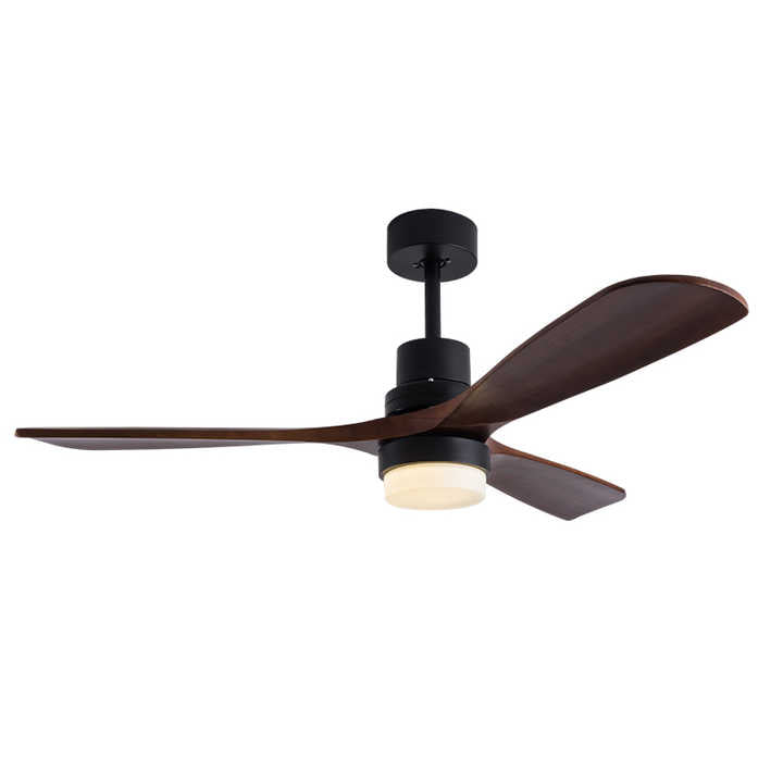 Interior lighting and ceiling fan 