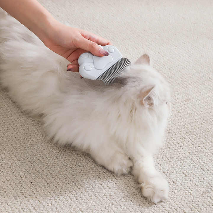 مشط استمالة الكلاب من السيليكون الفاخر ، أداة . Premium Silicone Dog Grooming Comb, Effective Hair
