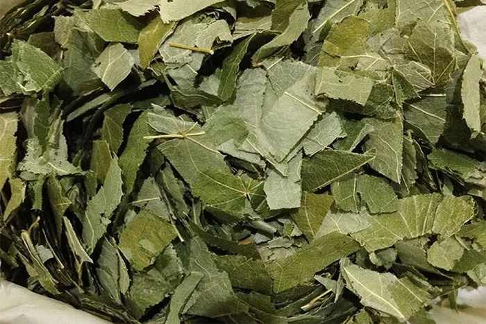 مسحوق خلاصة أعشاب الماعز