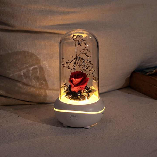 Concept Aroma - Diffuser 