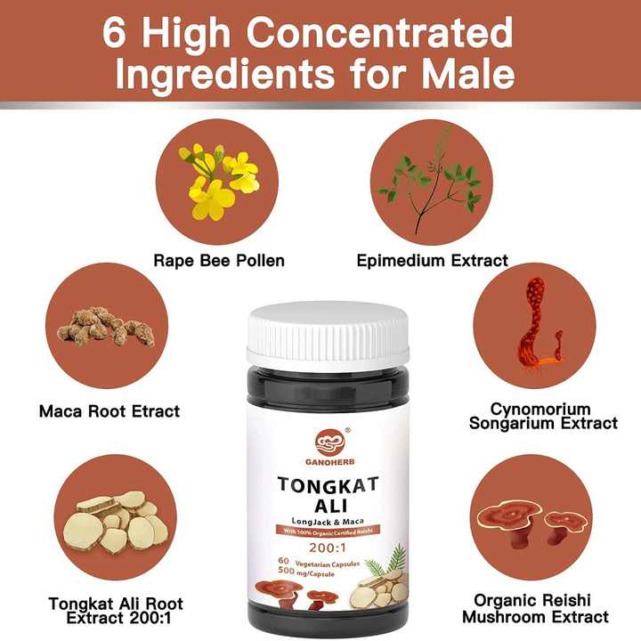 Ganoherb High Quality Organic Tugka Ali and Maca Capsules Om Herbal Supplement for Men Private Label Bulk Supply 