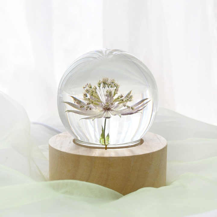 New Gift Set 