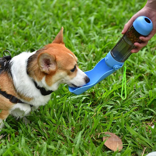 اوعية و مغذيات