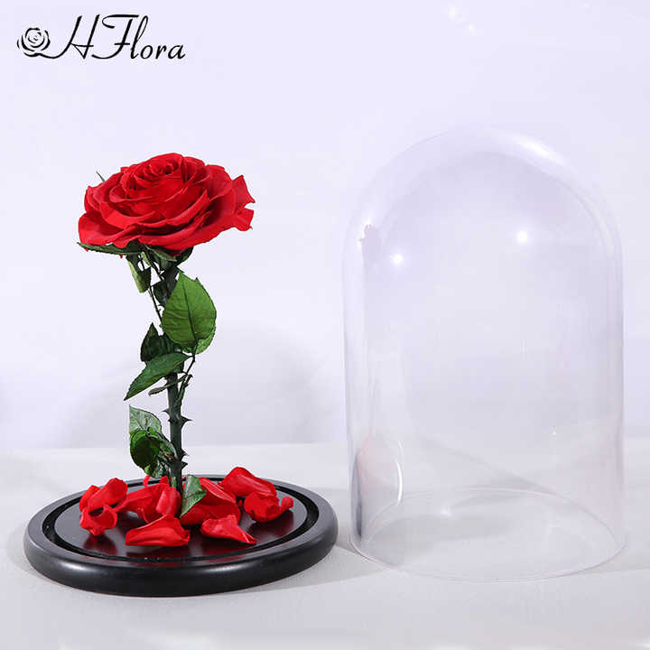 Preserved Roses in Glass Dome - صندوق هدايا زهور زخرفية