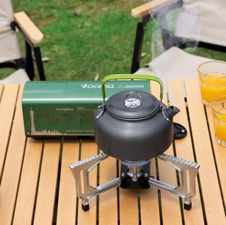 Kitchen electronics stove 