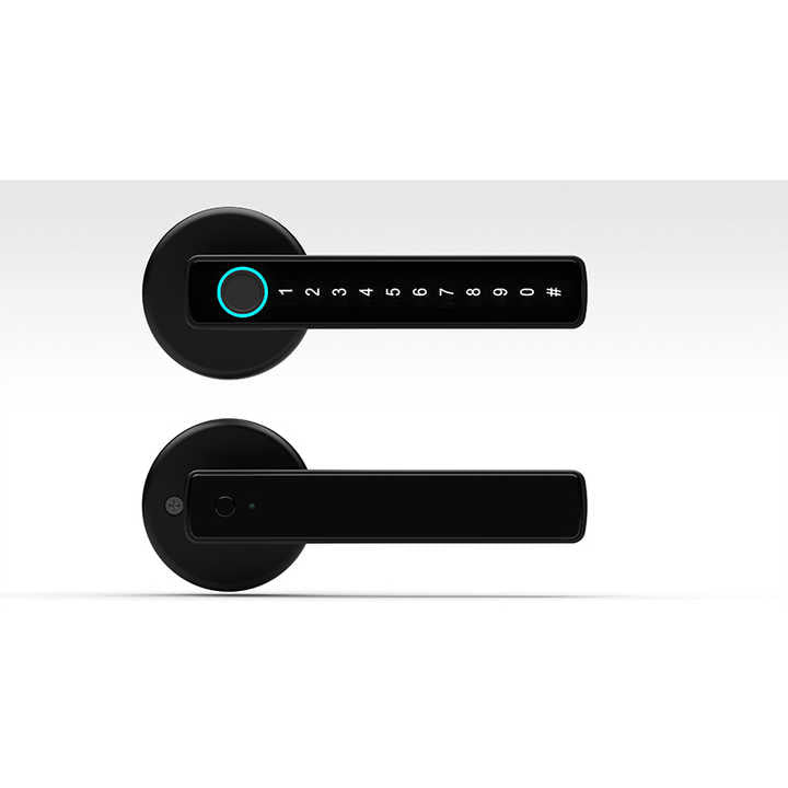 Digital electronic fingerprint arm 