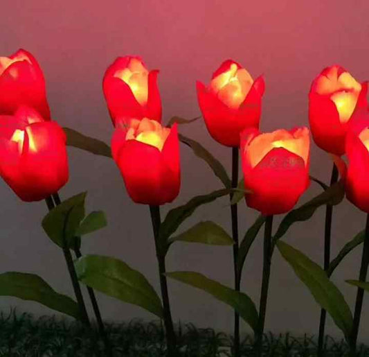 أضواء خارجية من زهور