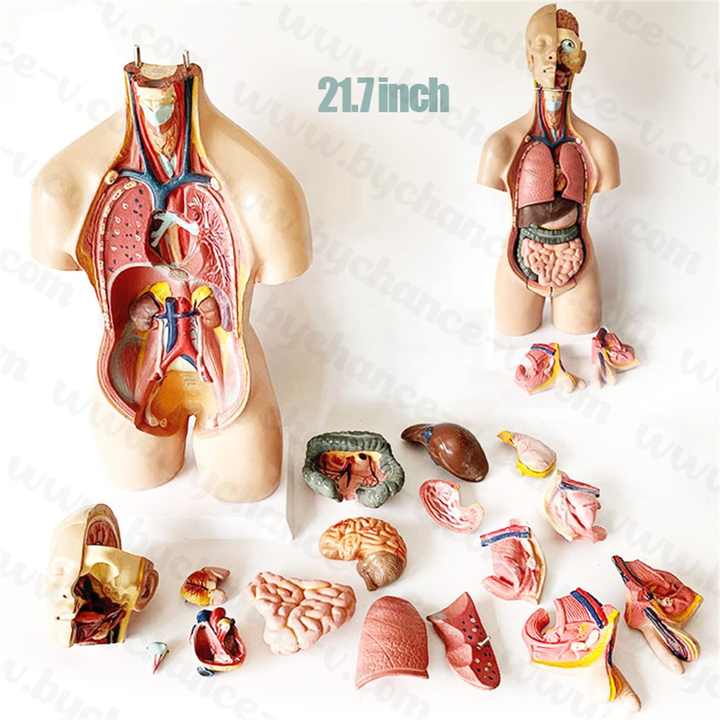 مستلزمات طبيه , Medical supplies