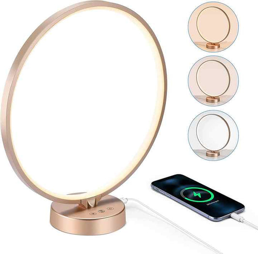 Modern 24 Watt Circuit Design