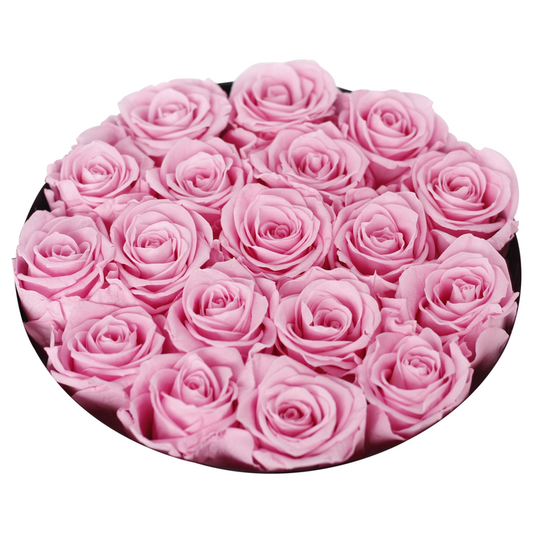 عيد الميلاد عيد الحب هدية جولة مجموعة عناق . Christmas Valentine's Day Gift Round