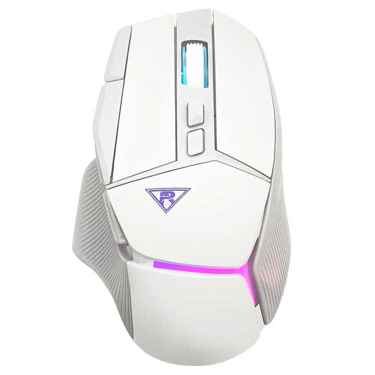 بالكمبيوتر ماوس لاسلكي