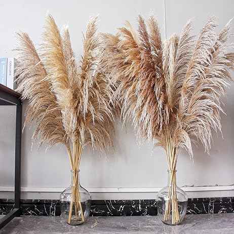 pampas grass 