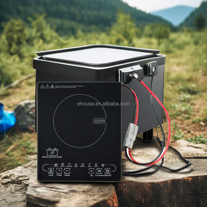 battery-powered induction cooker 