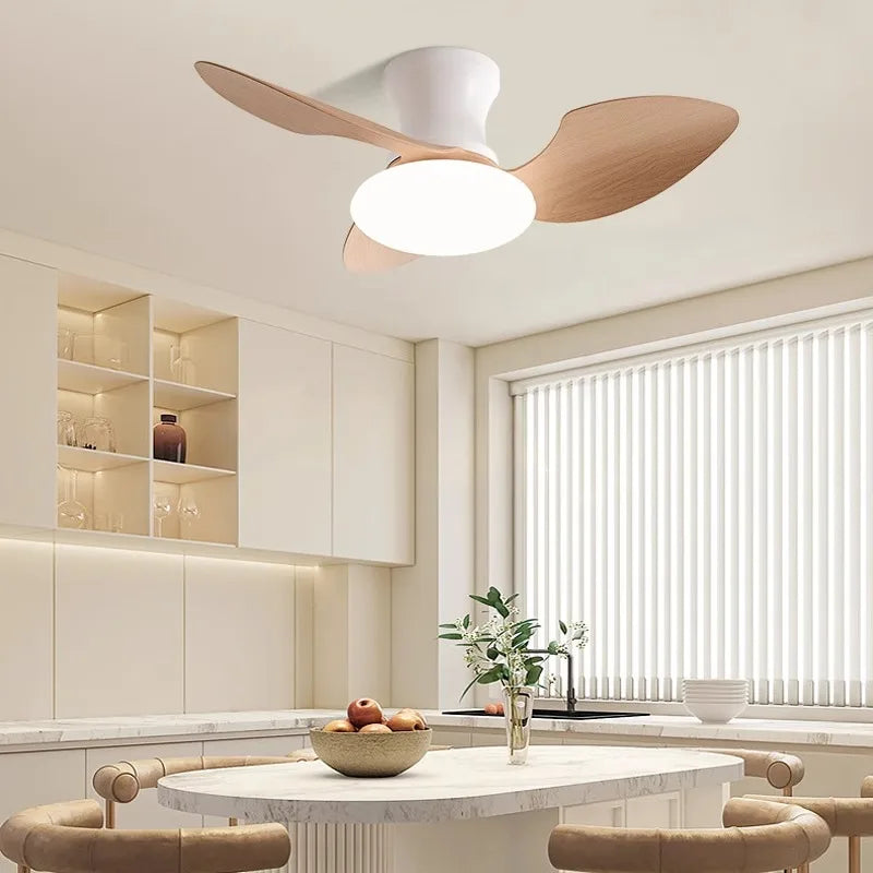 مروحة سقفceiling fan