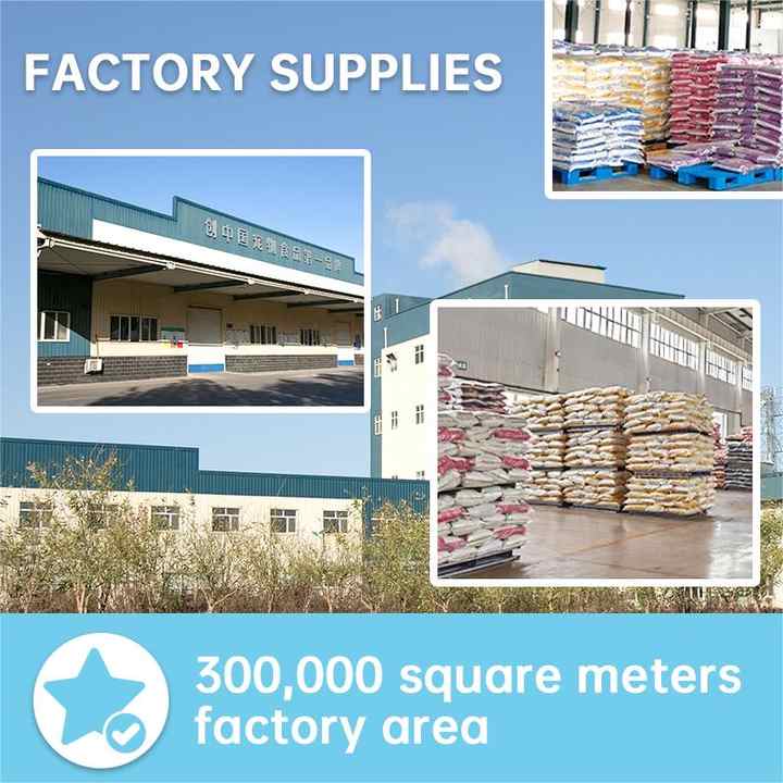 Natural Cat Food Cheap High Quality Dry Pet Cat Food Many Flavors Cat Food 