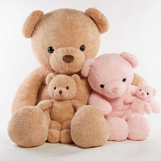 Teddy Bear Valentine Teddy Bear - تصميم رائج البيع مخصص لعبة دببة تيدي