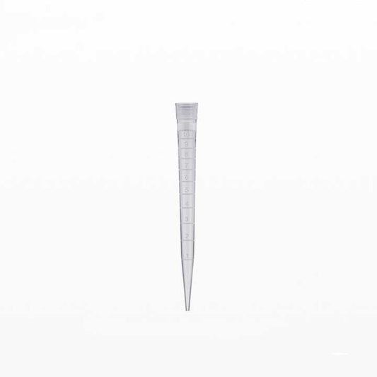 اطراف ماصة-Suction cups