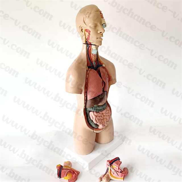 مستلزمات طبيه , Medical supplies