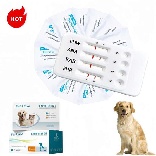 اختبار Tick-4/4 طرق Ehr/Bab/Ana/Chw دودة أنبلازما نابية دودة هريليتشيا بابيسيا جيبسوني كومبو Tick-4/4-way test Ehr/Bab/Ana/Chw Anaplasma canis, Herrelictia worm Babesia gibsoni Combo