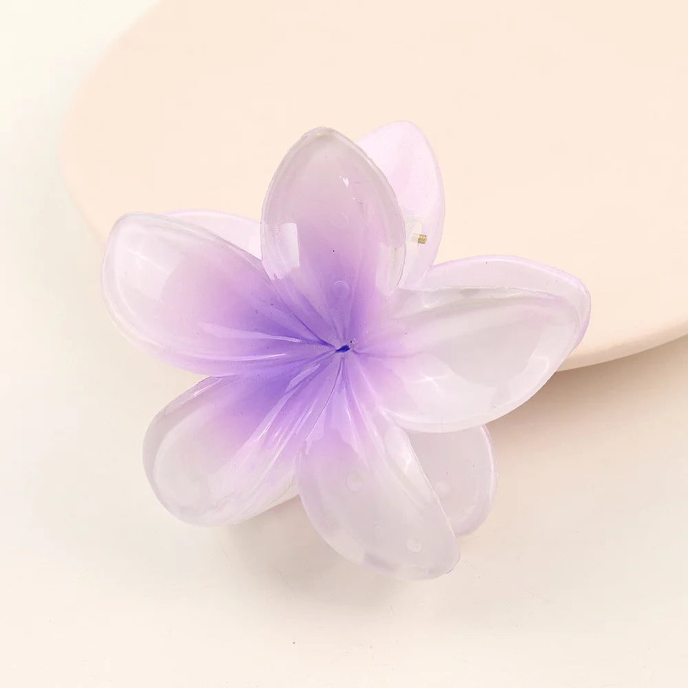 مشبك شعر شفاف - Hair Clip