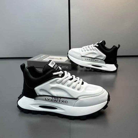 New addition to the soft interior 