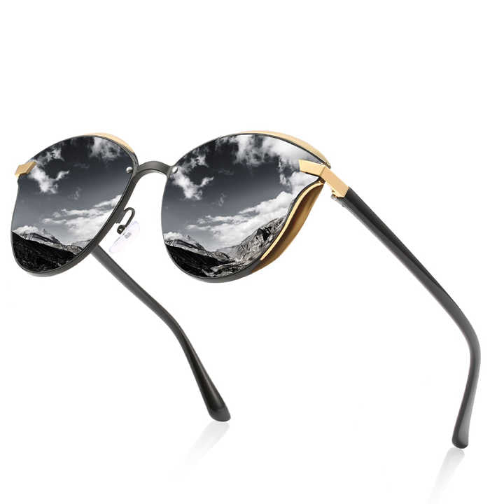 Aew Classic Cat Eye Sunglasses New Polarized Metal Frame Sun Glasses for Women 