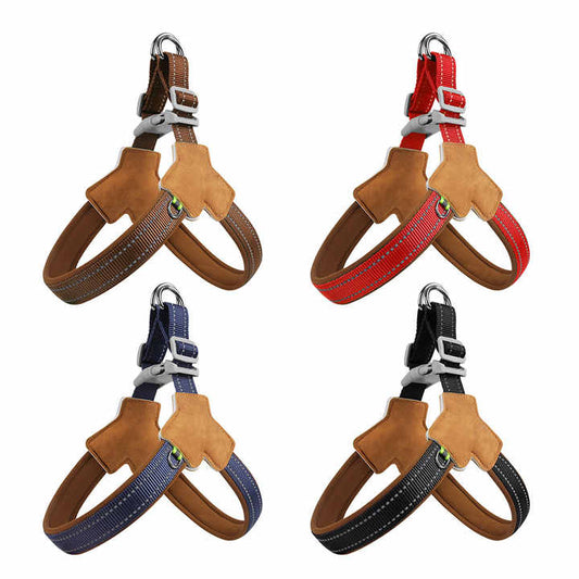 Animal accessories. Animal jacket. 