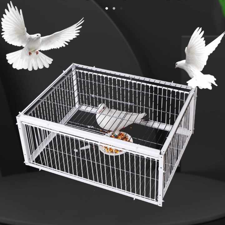 Bird Cage - Animal Accessories