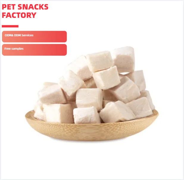 Bowls and Feeders - Animal Product Suppliers 