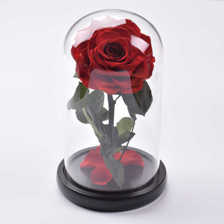 Preserved Roses in Glass Dome - صندوق هدايا زهور زخرفية