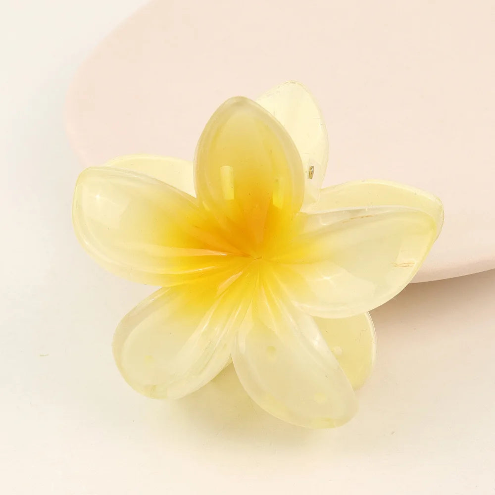 مشبك شعر شفاف - Hair Clip