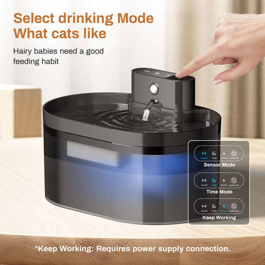 بطارية سيارة حيوان أليف لاسلكية مع جهاز . اوعية ومغذيات