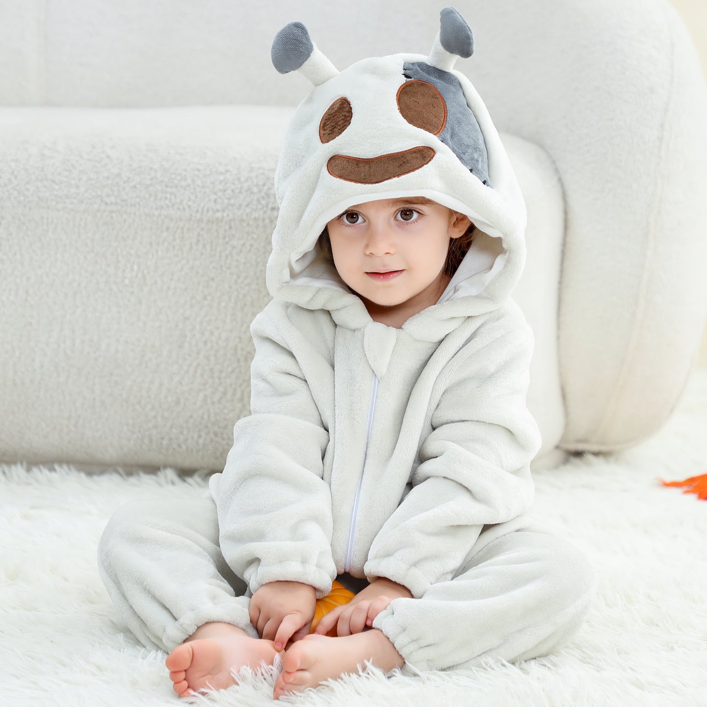 ملابس حيوانات