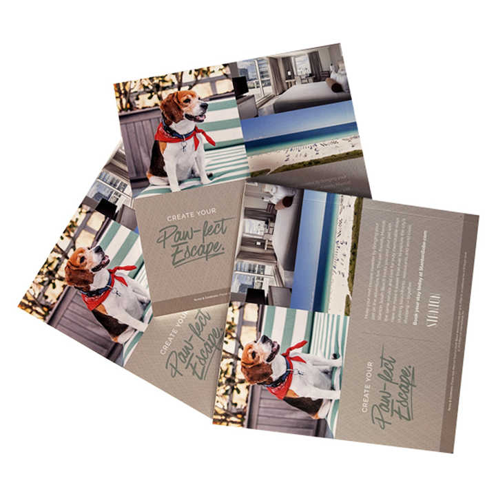 Fashion Educational Books / Fashion Catalogs 