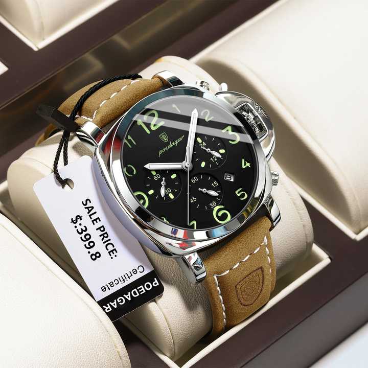 POEDAGAR Luxury Men's Quartz Waterproof Watch 