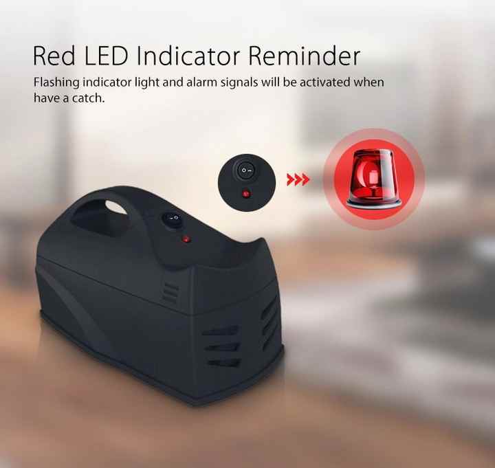 High voltage electronic mouse trap 