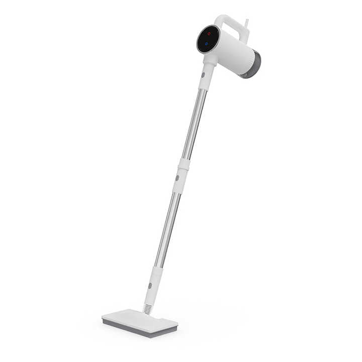 Portable home steam cleaner 