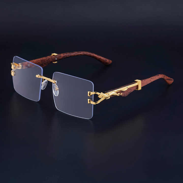Fashionable sunglasses with a head