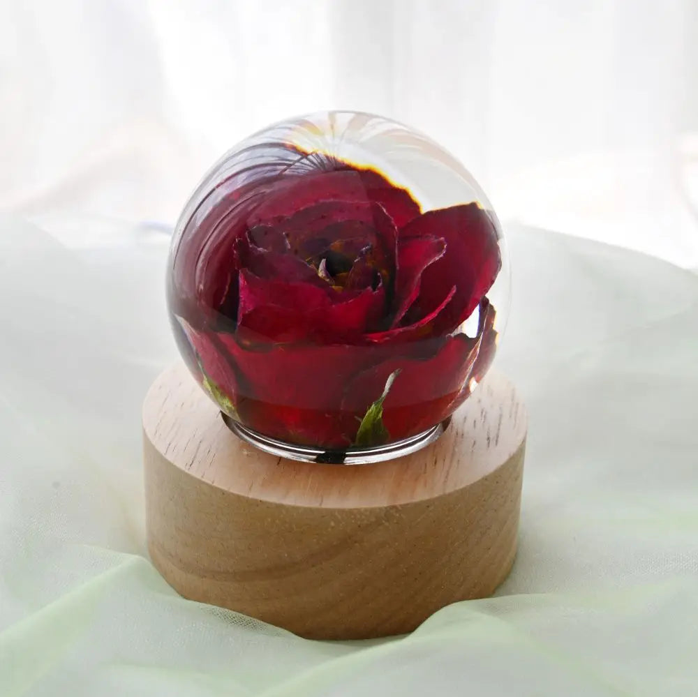 New Gift Set 