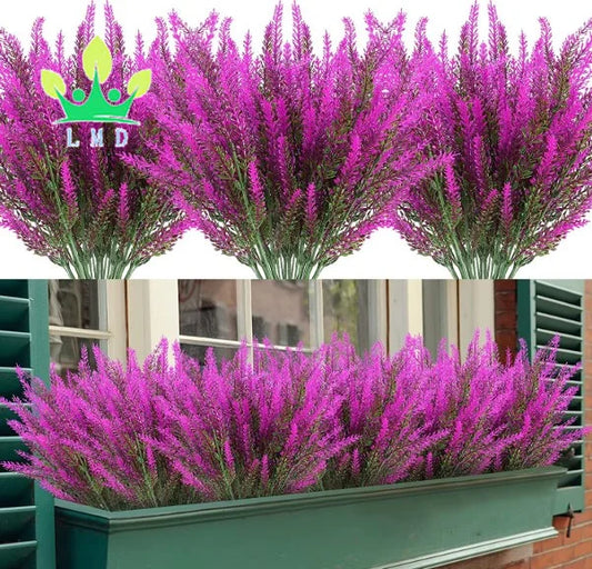 حزمة من نباتات السرخس-a bunch of ferns