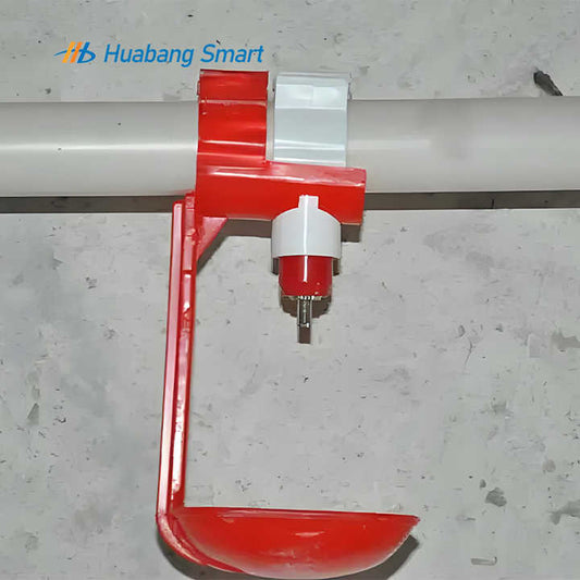 كرة حملة شرب الدجاج - اوعيه ومغذيات