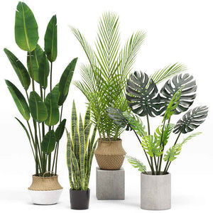 Lifelike Artificial Plant Polyethylene 