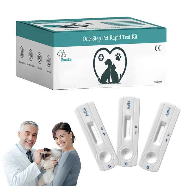Pet Care, Cat Treatment, Cat Fibroid, Feline Infectious Peritonitis